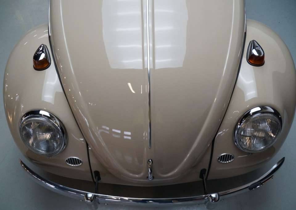 Immagine 30/50 di Volkswagen Beetle 1200 (1967)