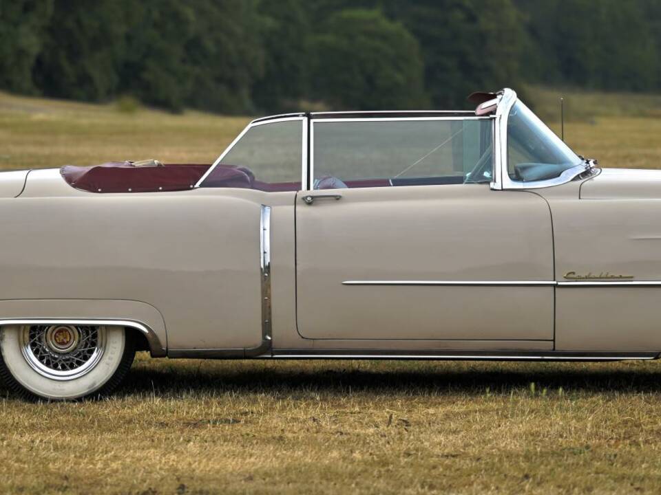 Bild 11/50 von Cadillac 62 Convertible (1954)