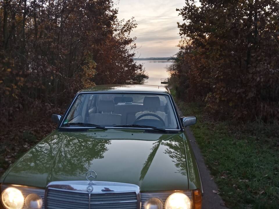 Bild 4/13 von Mercedes-Benz 200 (1980)