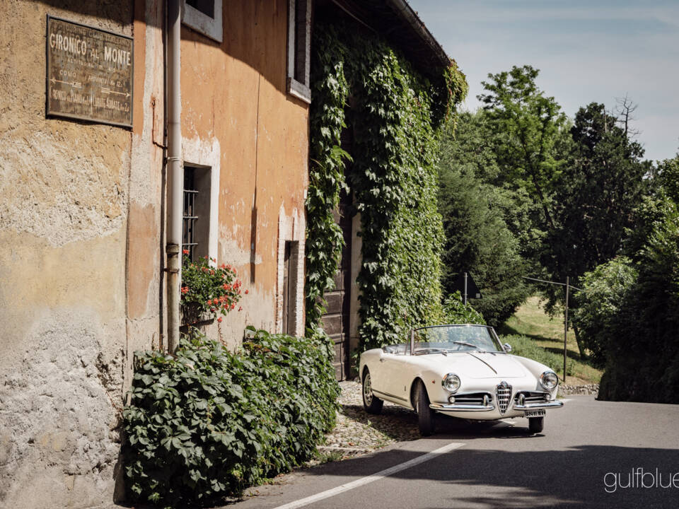 Image 49/71 de Alfa Romeo Giulietta Spider (1960)