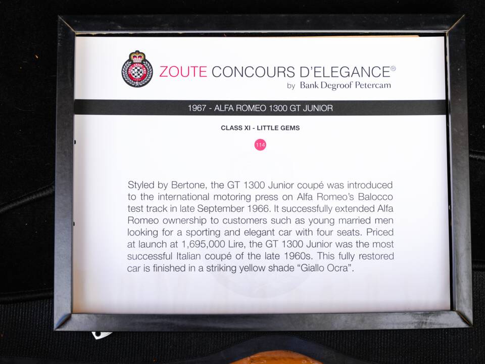 Image 12/38 of Alfa Romeo Giulia GT 1300 Junior (1968)