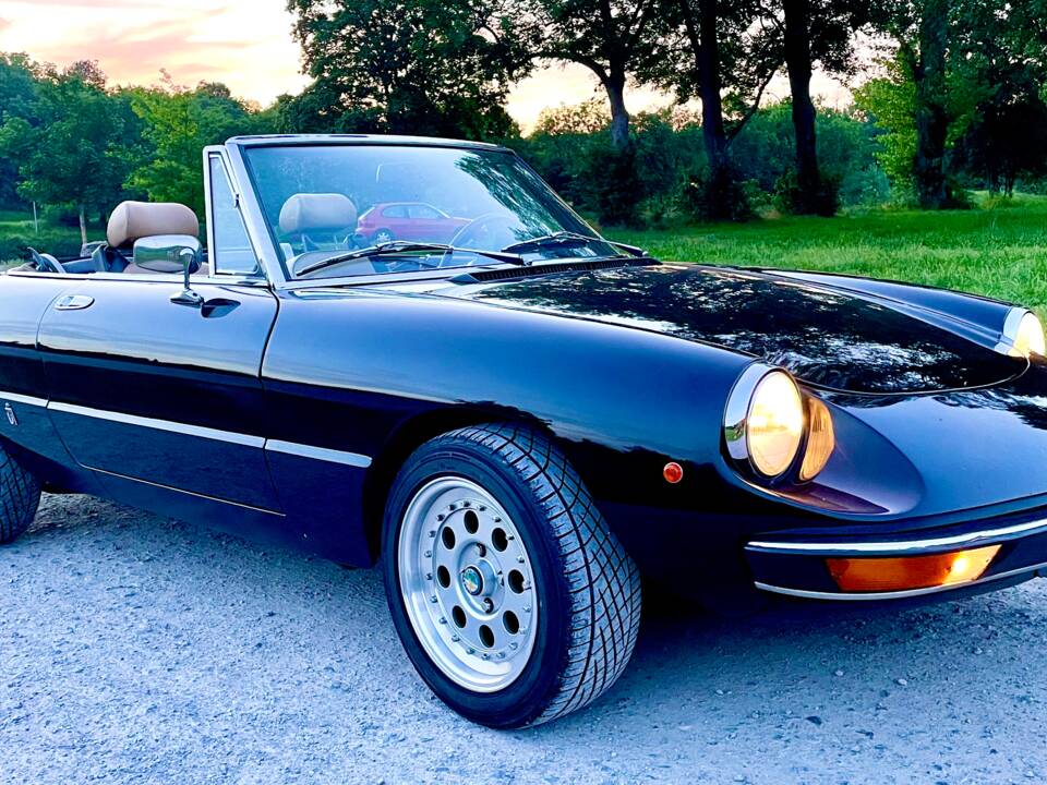 Bild 5/16 von Alfa Romeo 2000 Spider Veloce (1981)