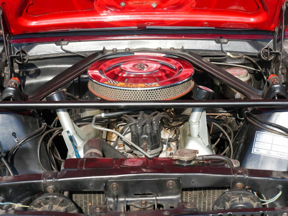 Image 31/50 of Ford Shelby GT 350 (1965)