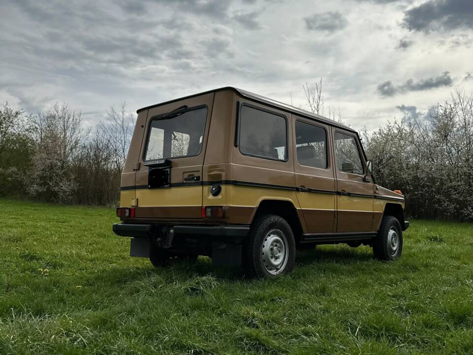 Bild 6/18 von Steyr-Puch 300 GD (lang) (1982)