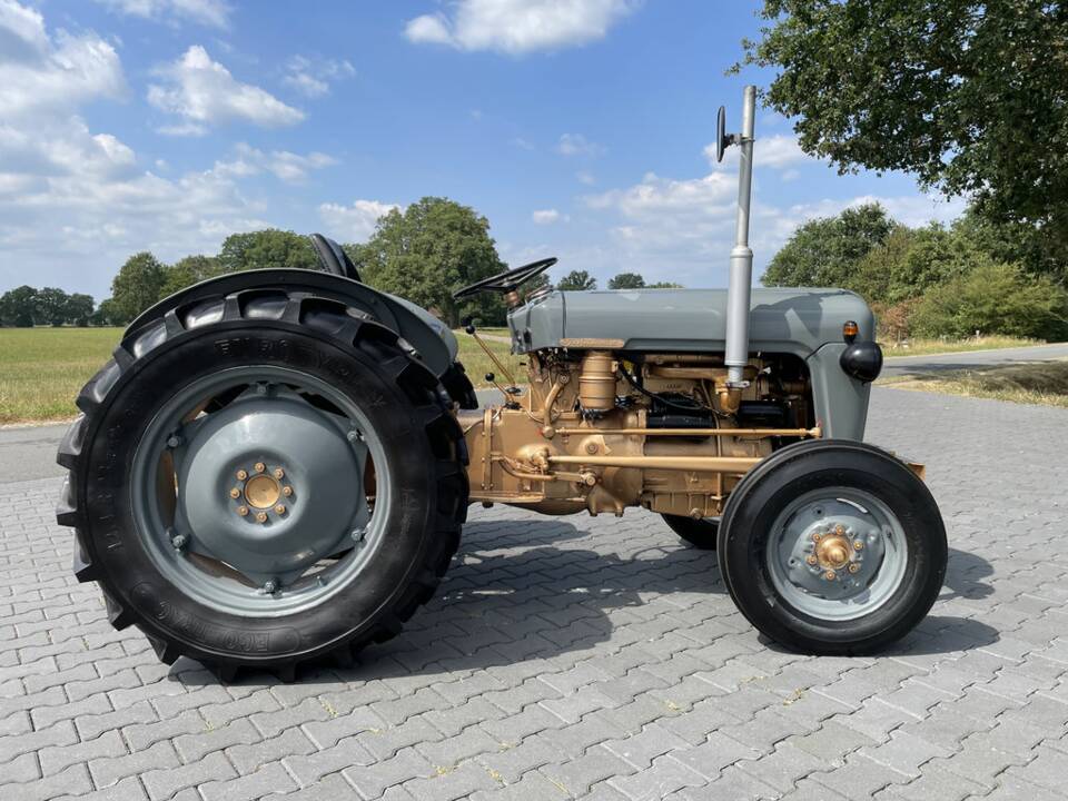 Image 8/8 of Massey-Ferguson MF 35 (1957)