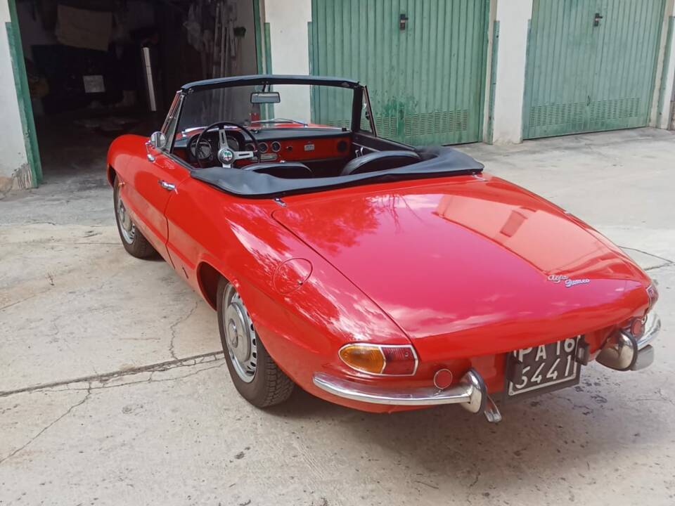 Image 2/50 of Alfa Romeo 1600 Spider Duetto (1966)