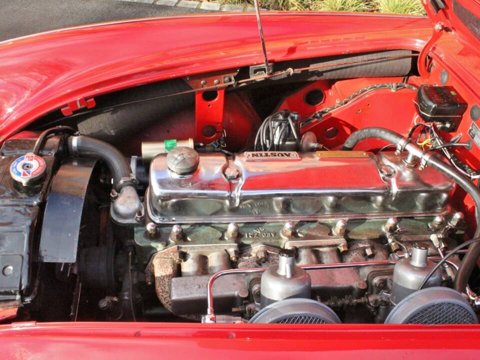 Image 6/14 de Austin-Healey 100/6 (BN4) (1959)