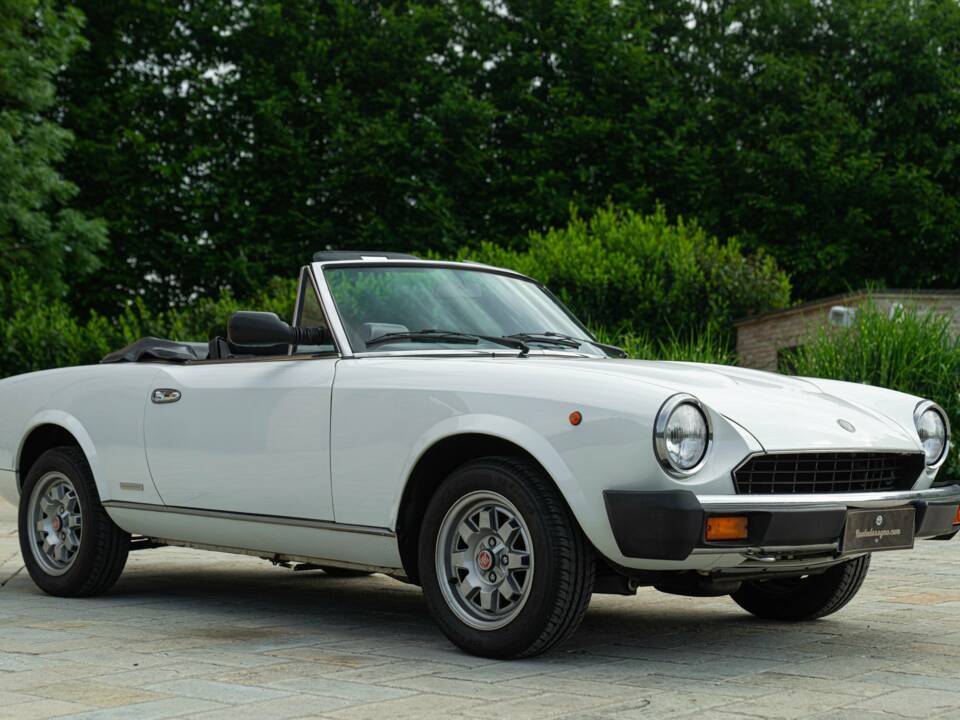 Image 3/50 of FIAT Spider 2000 Pininfarina 50th Anniversary Edition (1981)