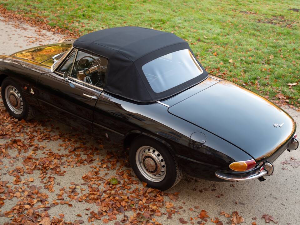 Image 22/51 of Alfa Romeo 1600 Spider Duetto (1966)
