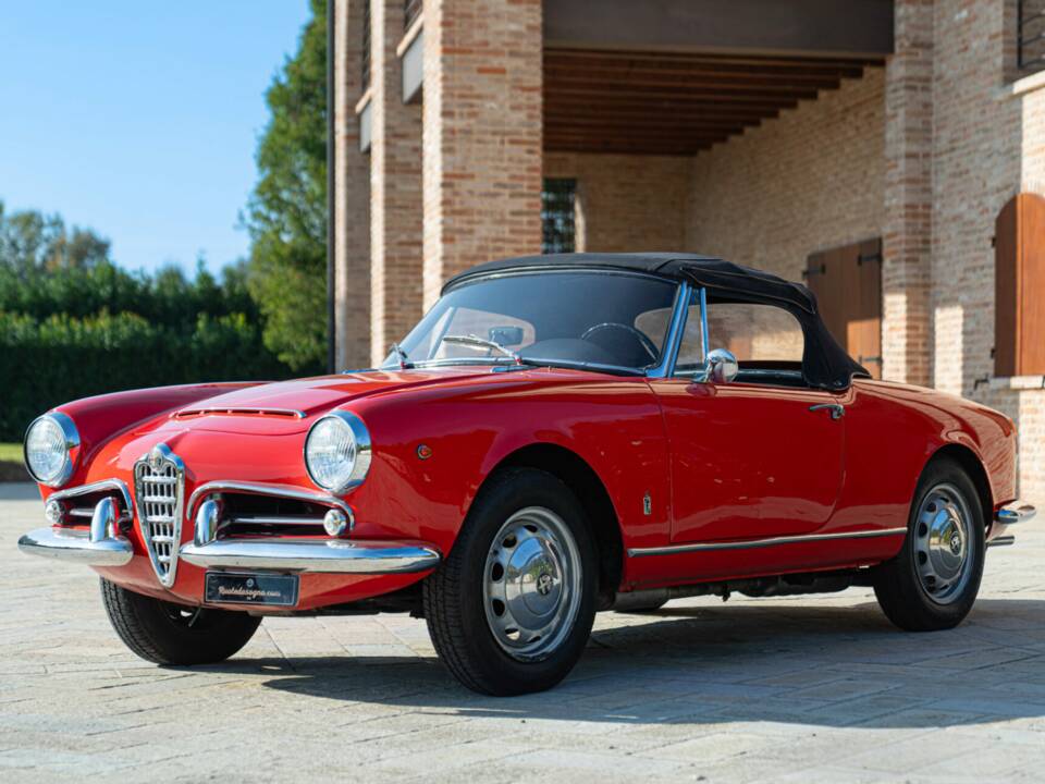 Bild 3/50 von Alfa Romeo Giulia 1600 Spider (1964)