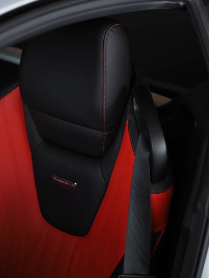 Image 36/49 of Mercedes-AMG GT-S (2015)