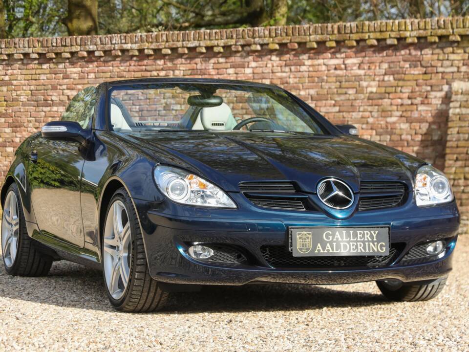 Bild 45/50 von Mercedes-Benz SLK 280 (2005)