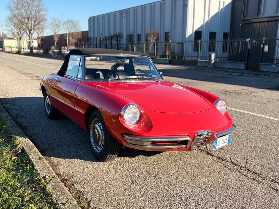 Bild 7/18 von Alfa Romeo 1750 Spider Veloce (1970)