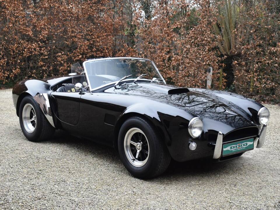 Immagine 10/34 di AC Cobra Mk IV (1985)