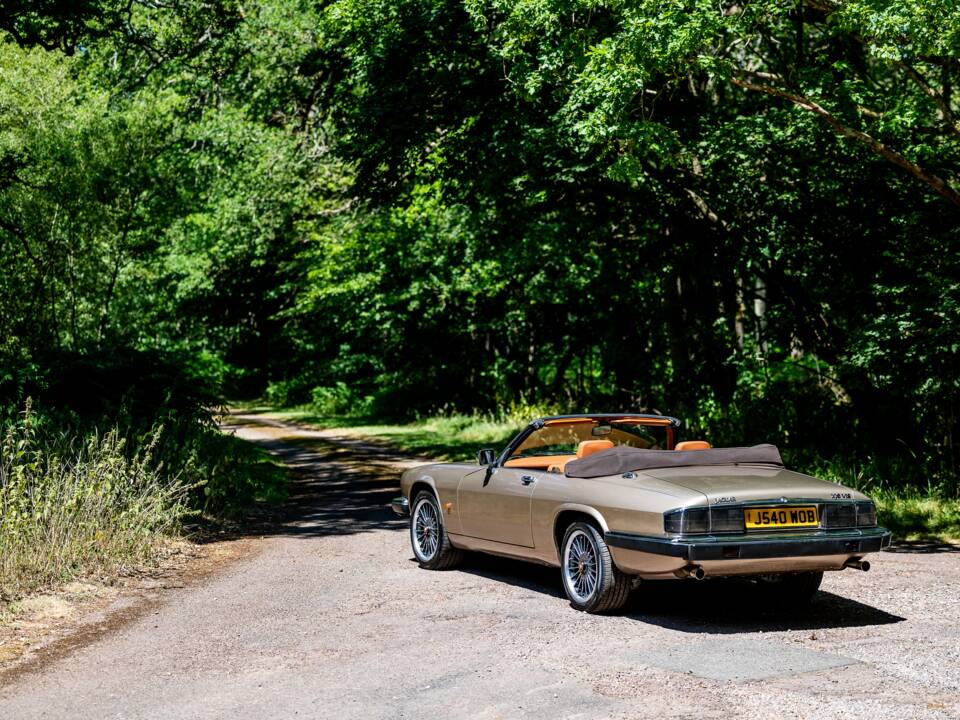 Afbeelding 14/50 van Jaguar XJS 6.0 V12 (1992)