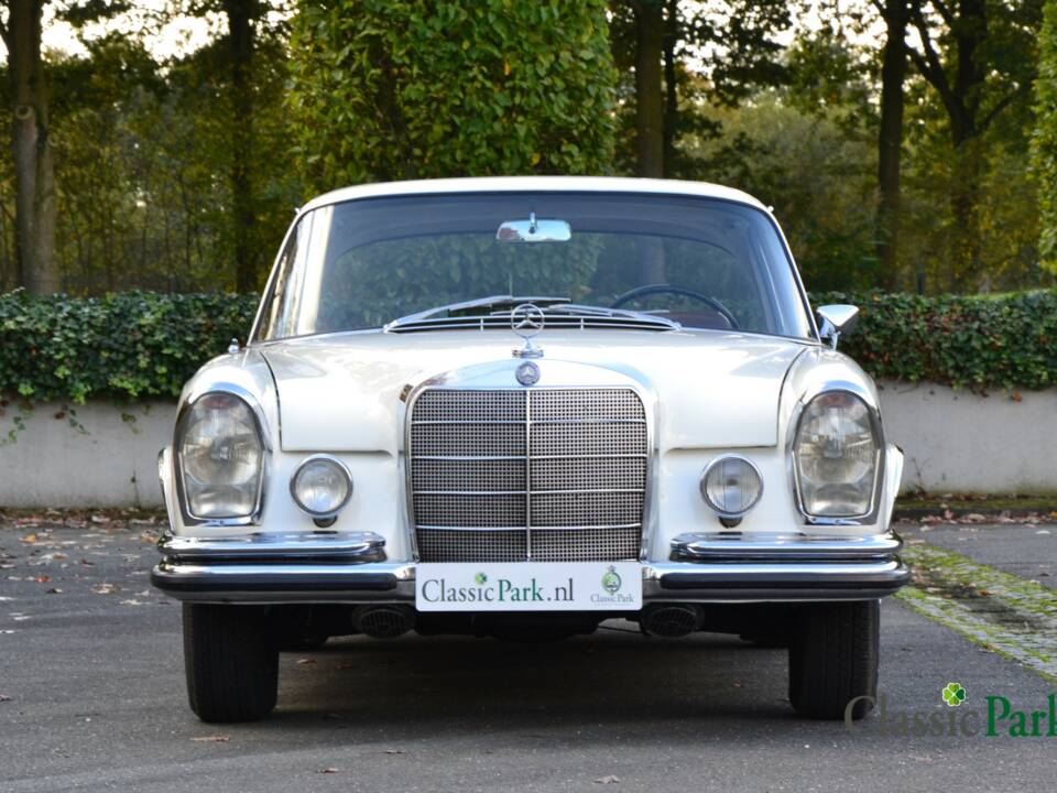 Image 8/50 of Mercedes-Benz 250 SE (1966)