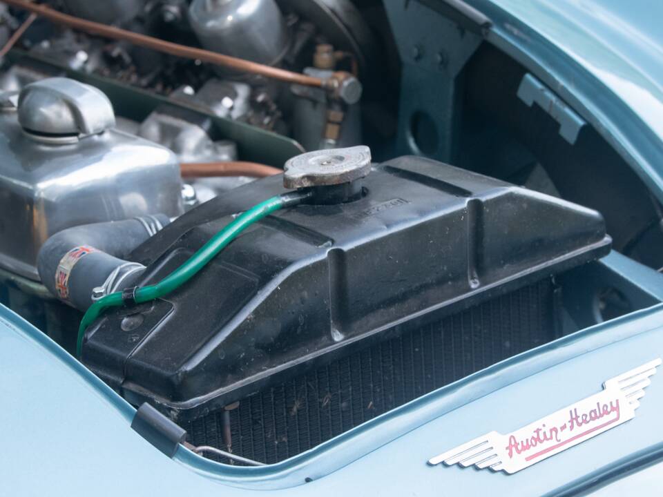 Bild 16/50 von Austin-Healey 100/6 (BN4) (1956)