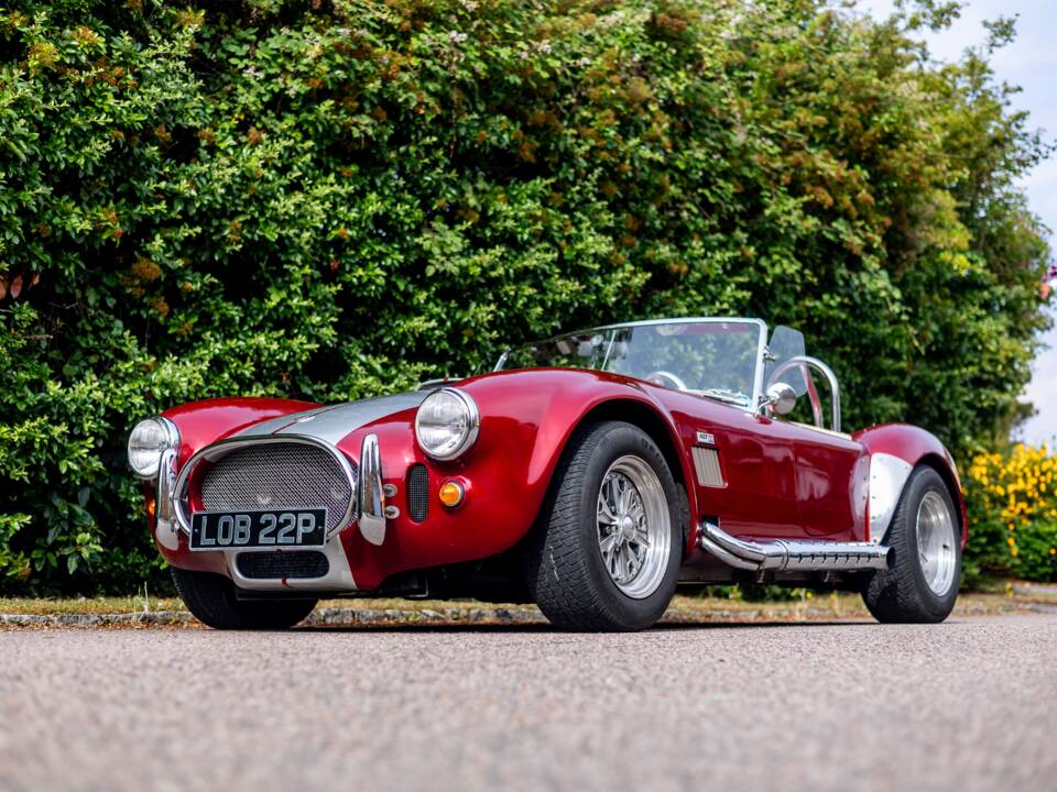 Bild 21/50 von Dax Cobra (1976)
