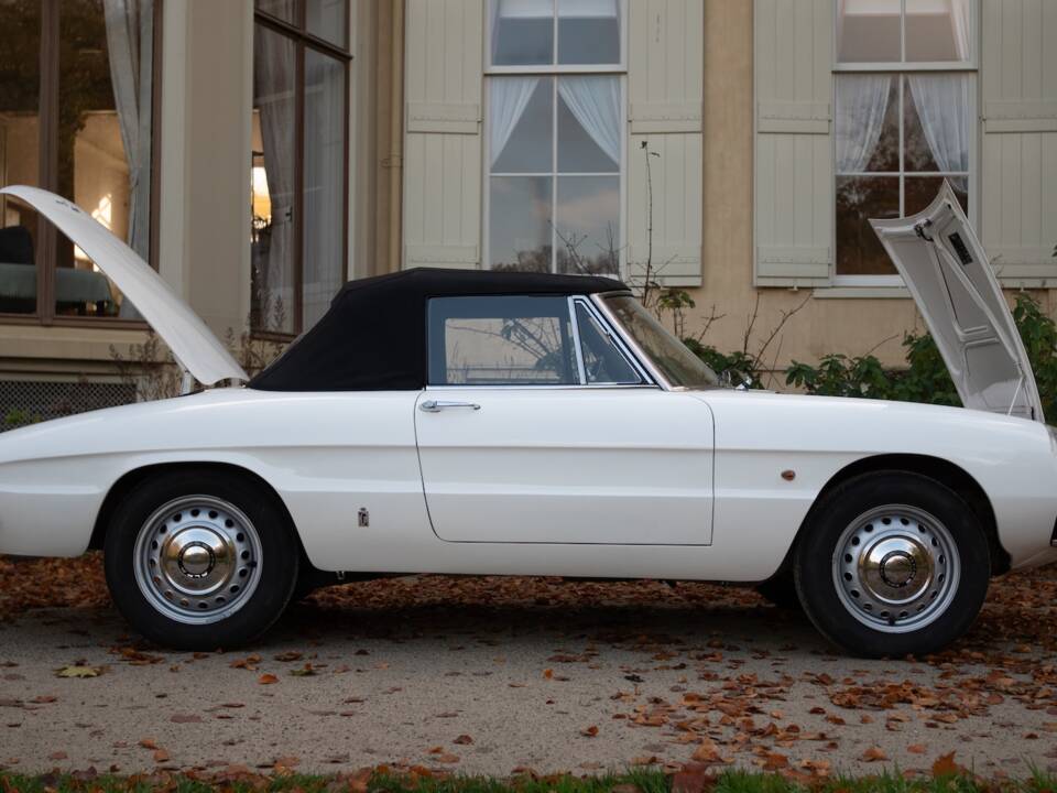 Image 39/50 de Alfa Romeo 1600 Spider Duetto (1967)