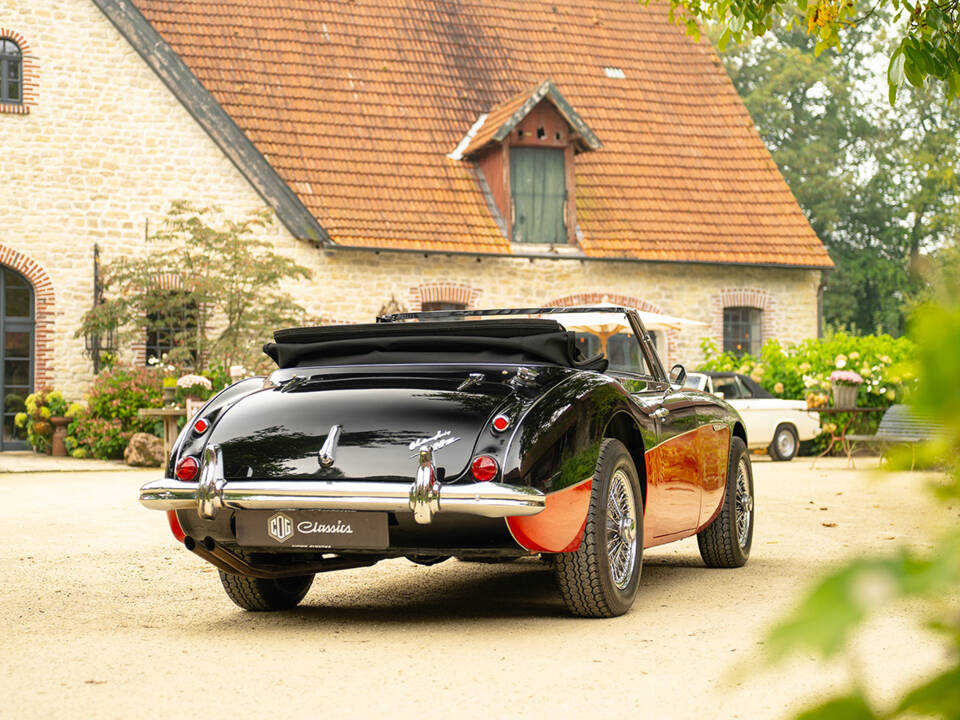 Afbeelding 5/62 van Austin-Healey 3000 Mk III (BJ8) (1965)