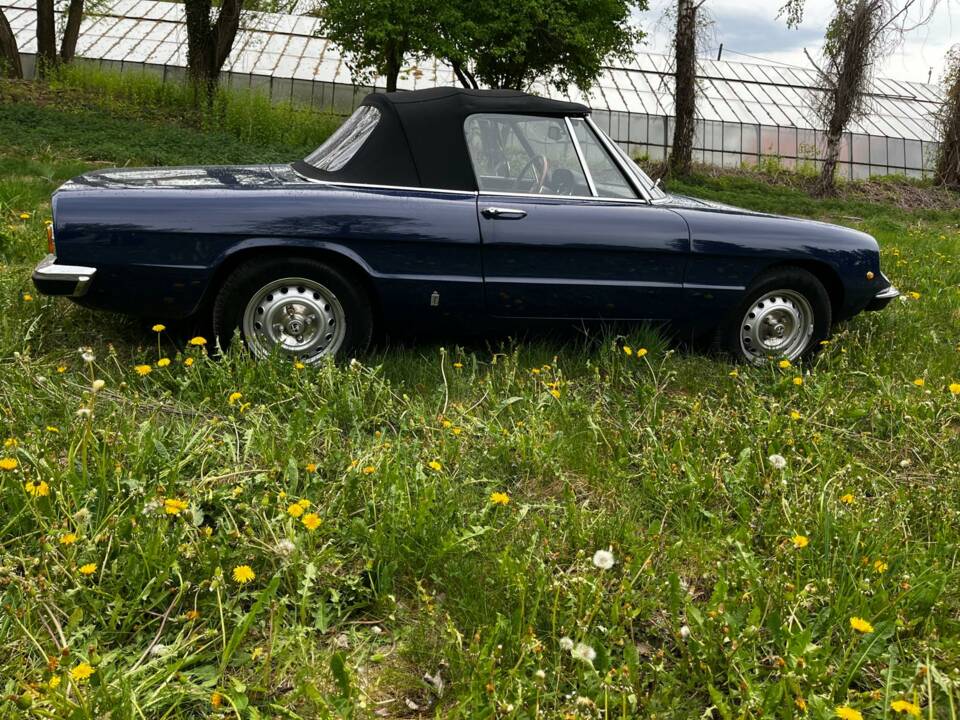 Immagine 9/14 di Alfa Romeo Spider 1300 Junior (1972)