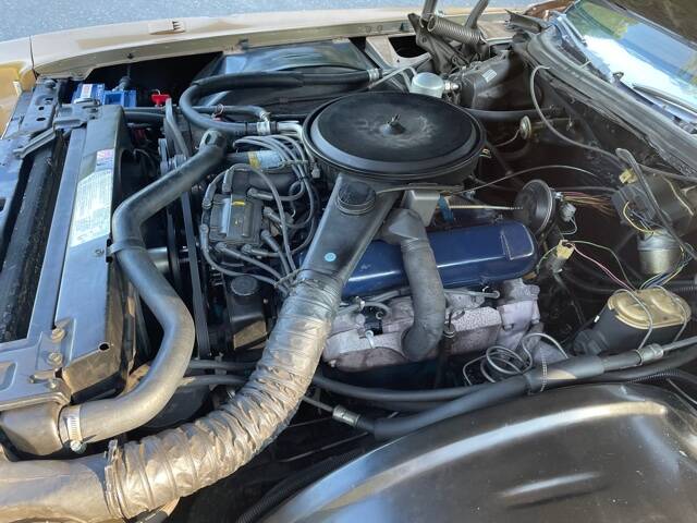 Bild 30/33 von Cadillac Fleetwood Eldorado Biarritz Coupe (1977)