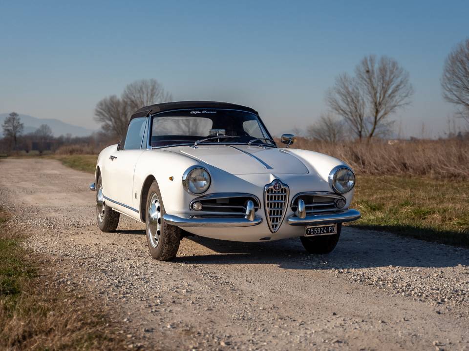 Image 3/38 of Alfa Romeo Giulietta Spider Veloce (1959)