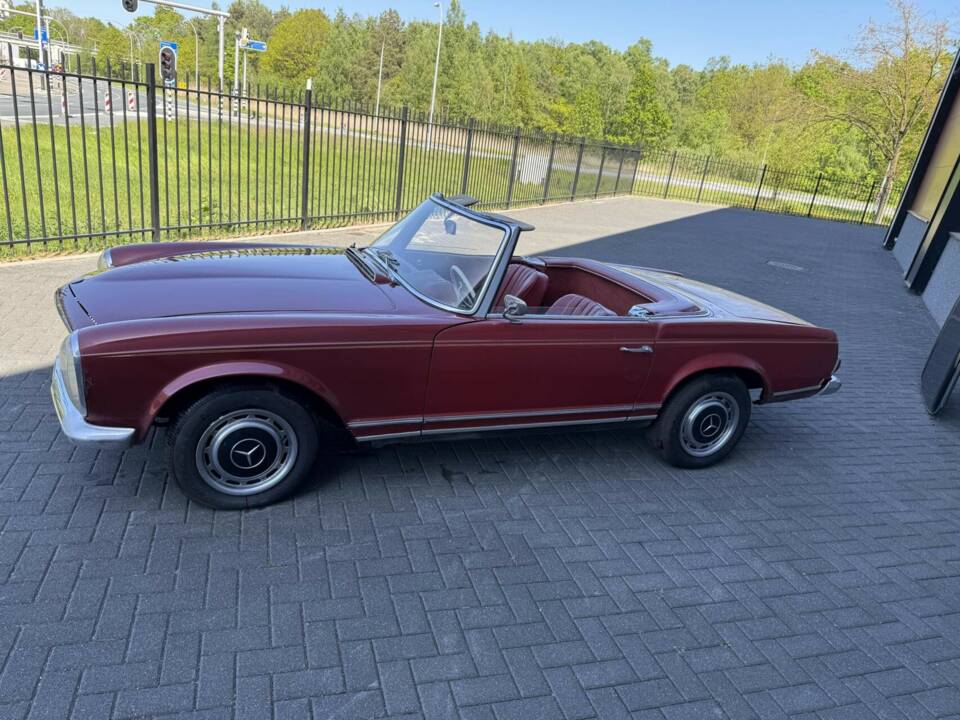Image 11/50 of Mercedes-Benz 230 SL (1966)
