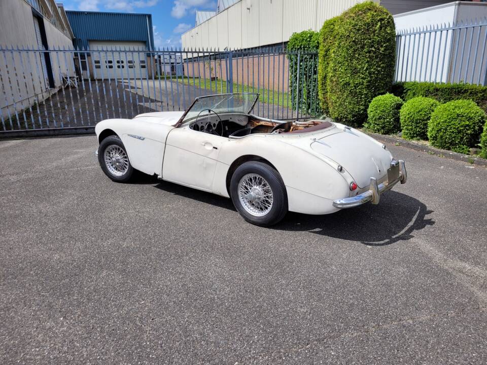 Immagine 5/16 di Austin-Healey 3000 Mk I (BT7) (1960)