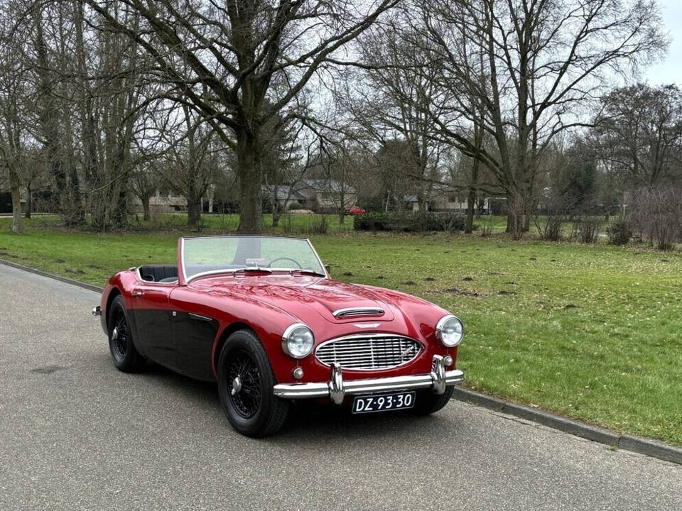 Image 1/26 de Austin-Healey 100&#x2F;6 (BN4) (1959)