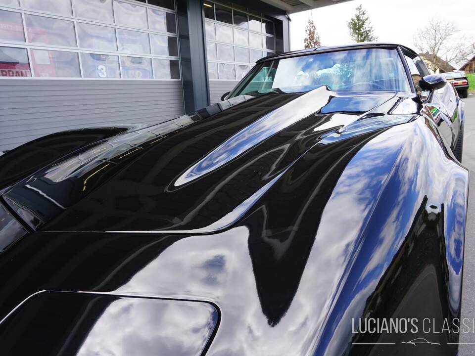 Bild 15/58 von Chevrolet Corvette Sting Ray (1979)