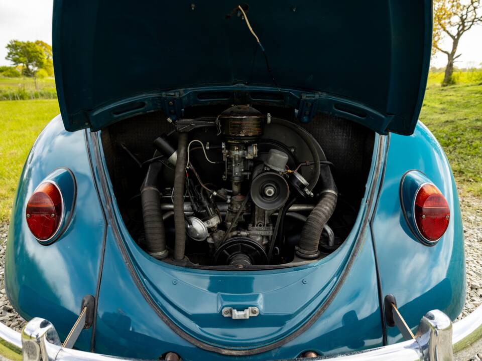 Bild 16/40 von Volkswagen Käfer 1300 (1965)
