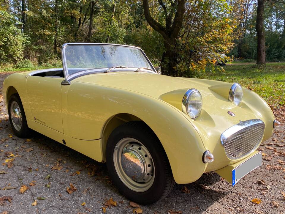 Imagen 3/26 de Austin-Healey Sprite Mk I (1959)