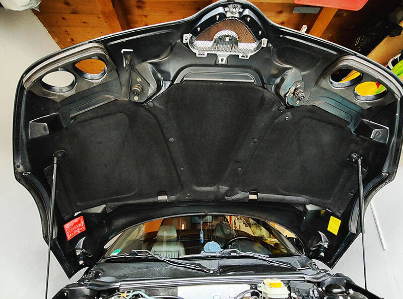 Bild 58/68 von Alfa Romeo Spider 2.0 Twin Spark 16V (2001)