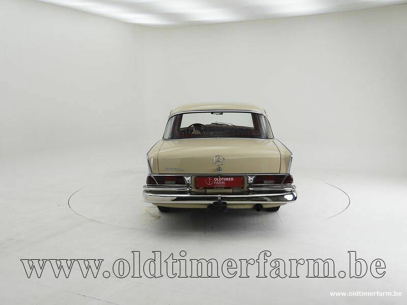 Image 7/15 of Mercedes-Benz 220 S b (1960)