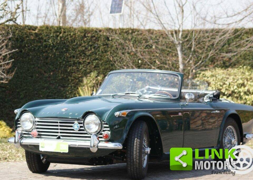 Bild 1/10 von Triumph TR 4 (1965)