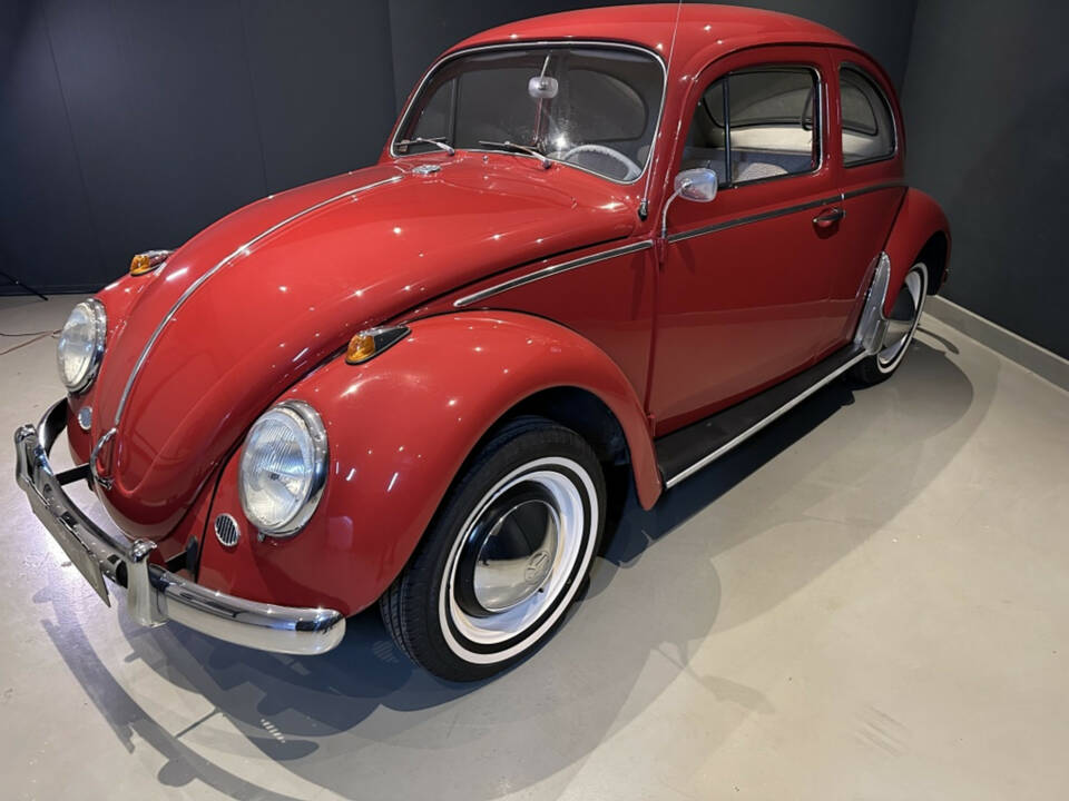 Bild 3/20 von Volkswagen Beetle 1200 Standard &quot;Dickholmer&quot; (1963)