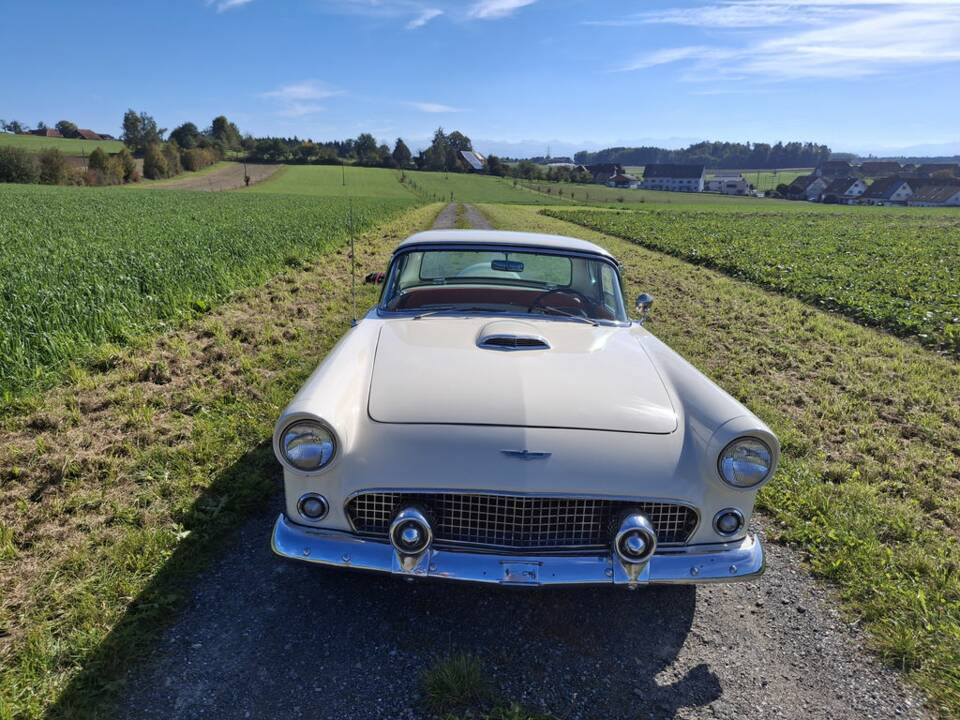 Image 8/8 of Ford Thunderbird (1956)