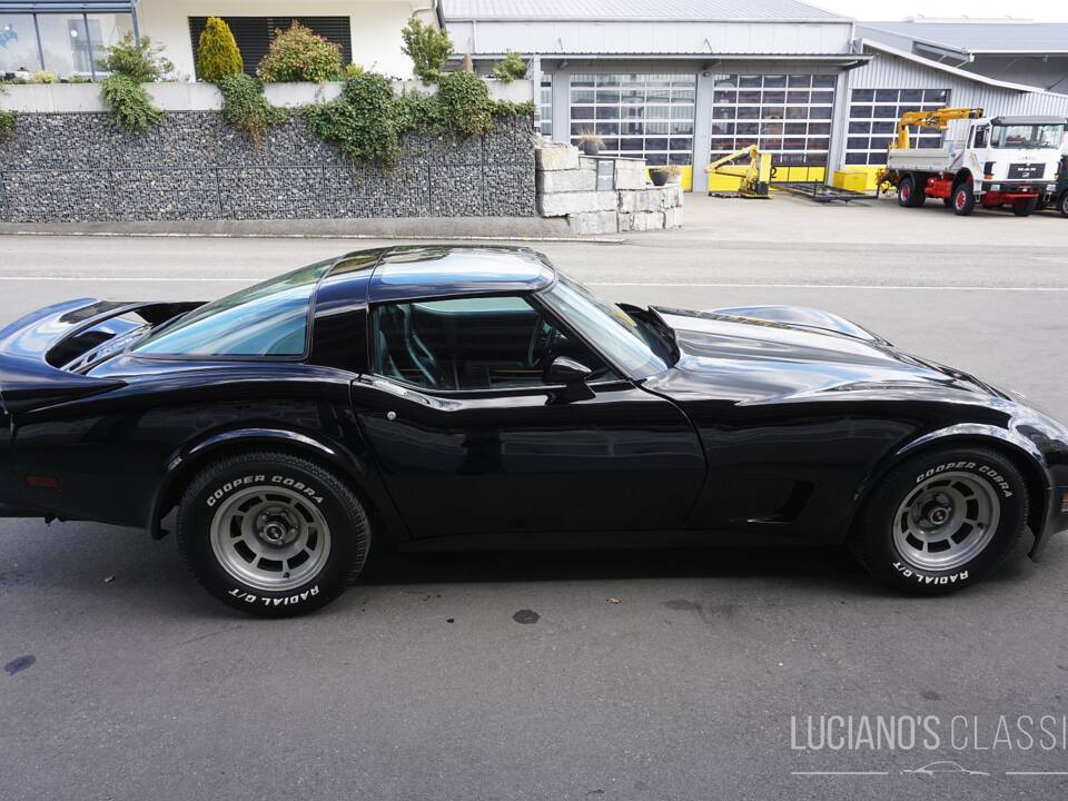 Bild 10/58 von Chevrolet Corvette Sting Ray (1979)