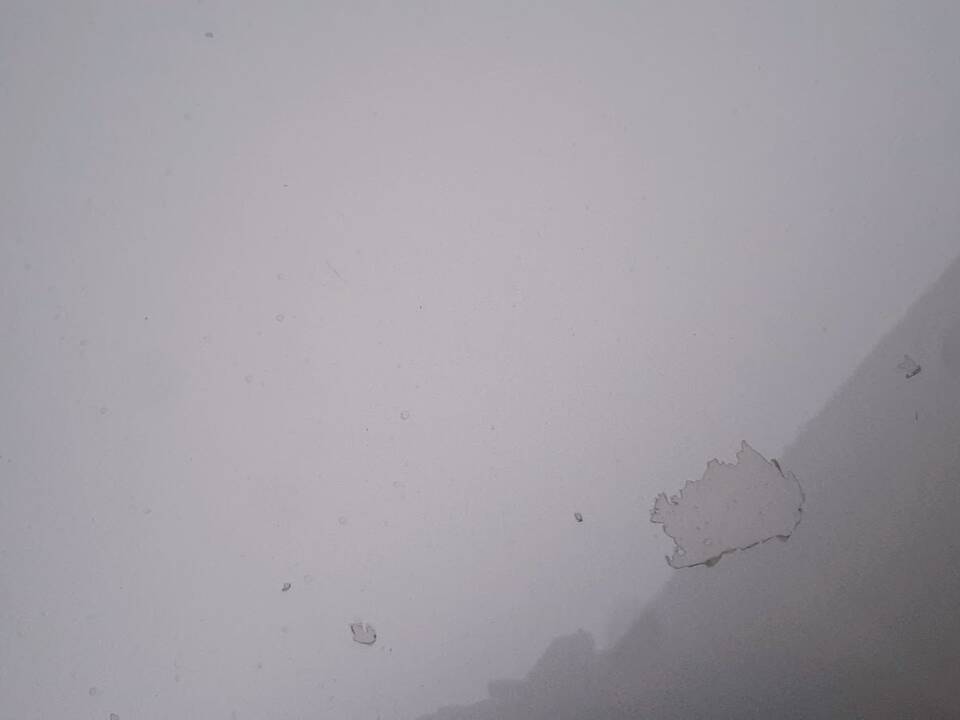 Immagine 13/50 di MG F 1.8i VVC 75 LE "75th Anniversary" (1999)