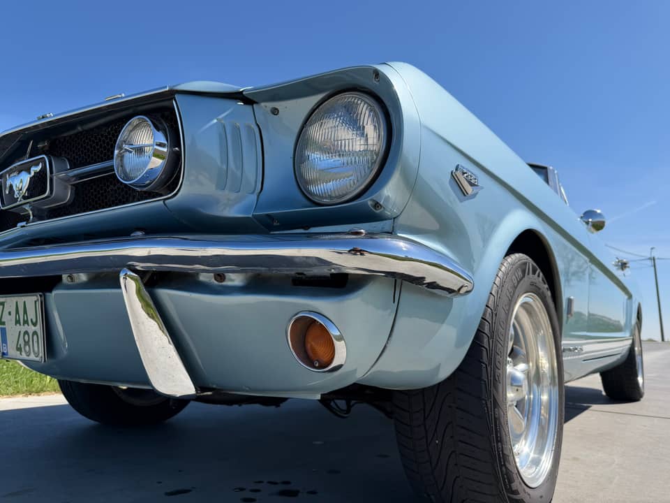 Bild 64/99 von Ford Mustang 289 (1965)