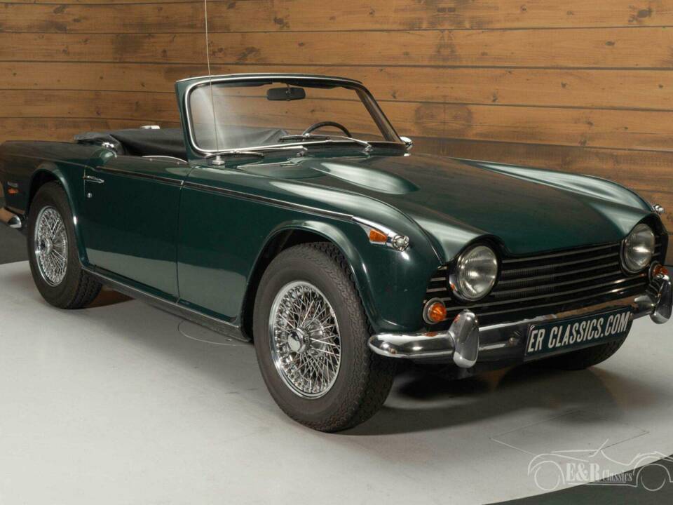 Afbeelding 4/19 van Triumph TR 250 (1968)