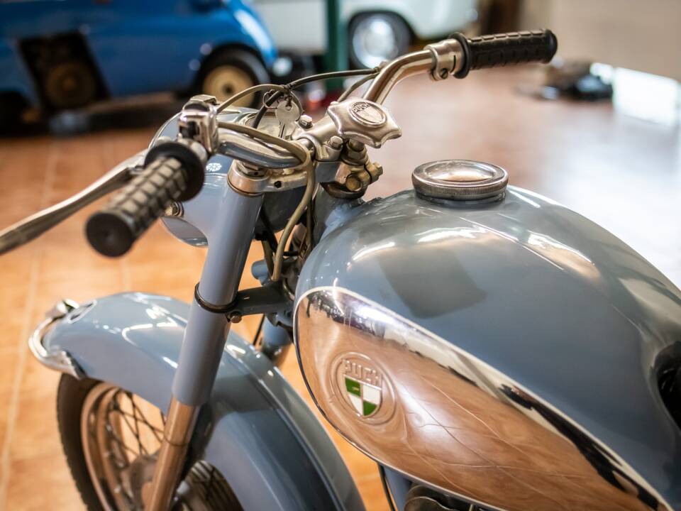 Image 10/16 de Puch 175 SV (1953)