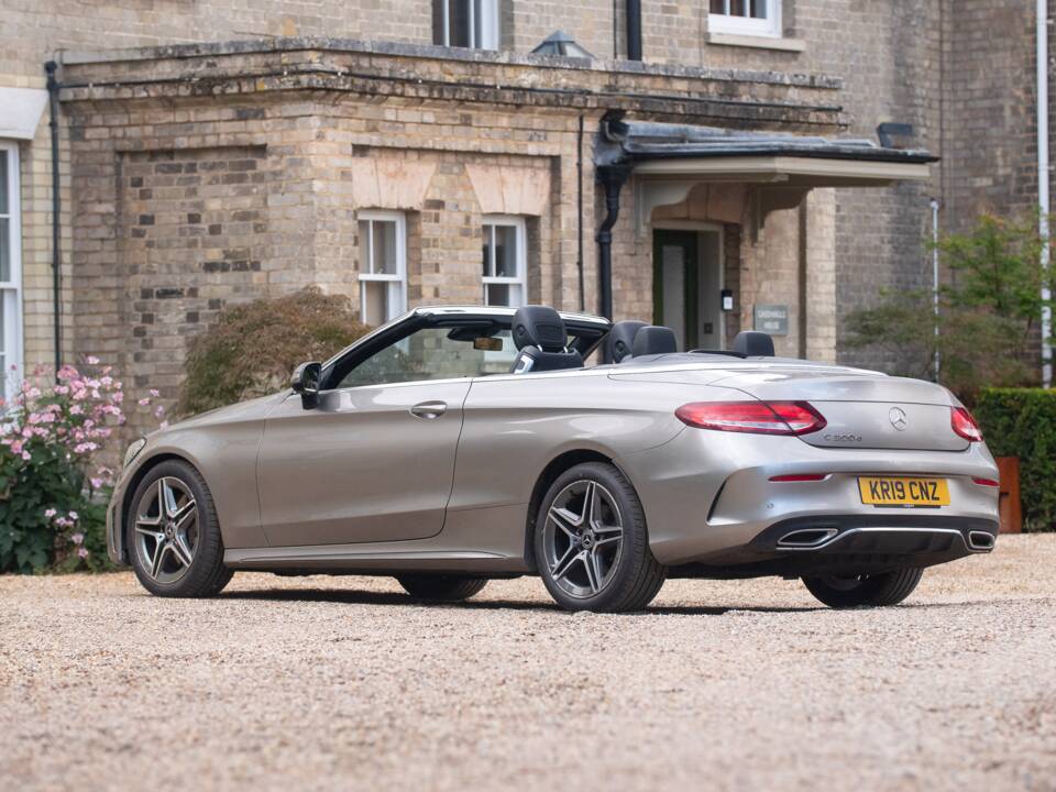 Bild 23/50 von Mercedes-Benz C 300 d (2019)