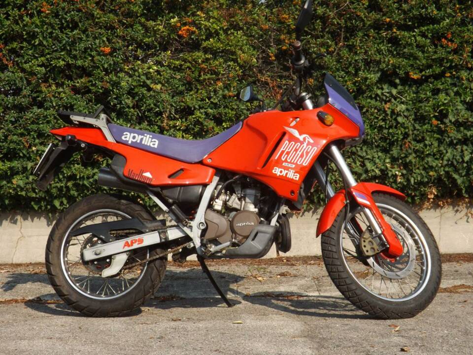 Immagine 5/50 di Aprilia Pegaso 125 (1989)