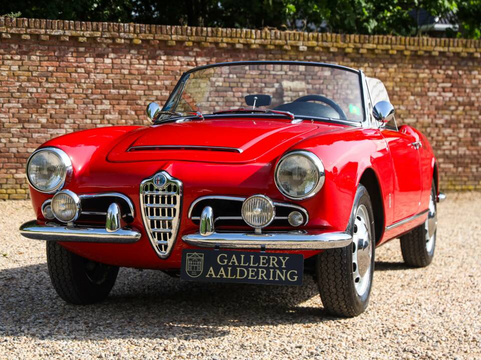 Bild 30/50 von Alfa Romeo Giulia 1600 Spider Veloce (1965)