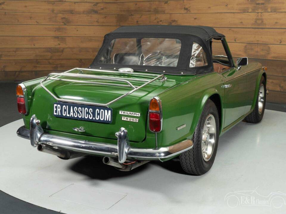 Immagine 11/19 di Triumph TR 250 (1967)
