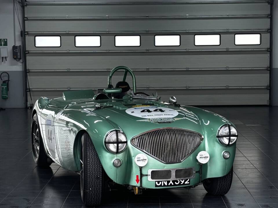 Immagine 21/40 di Austin-Healey 100/4 (BN1) (1954)