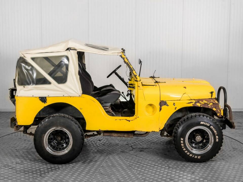 Afbeelding 42/50 van Willys-Viasa CJ-3B (1957)