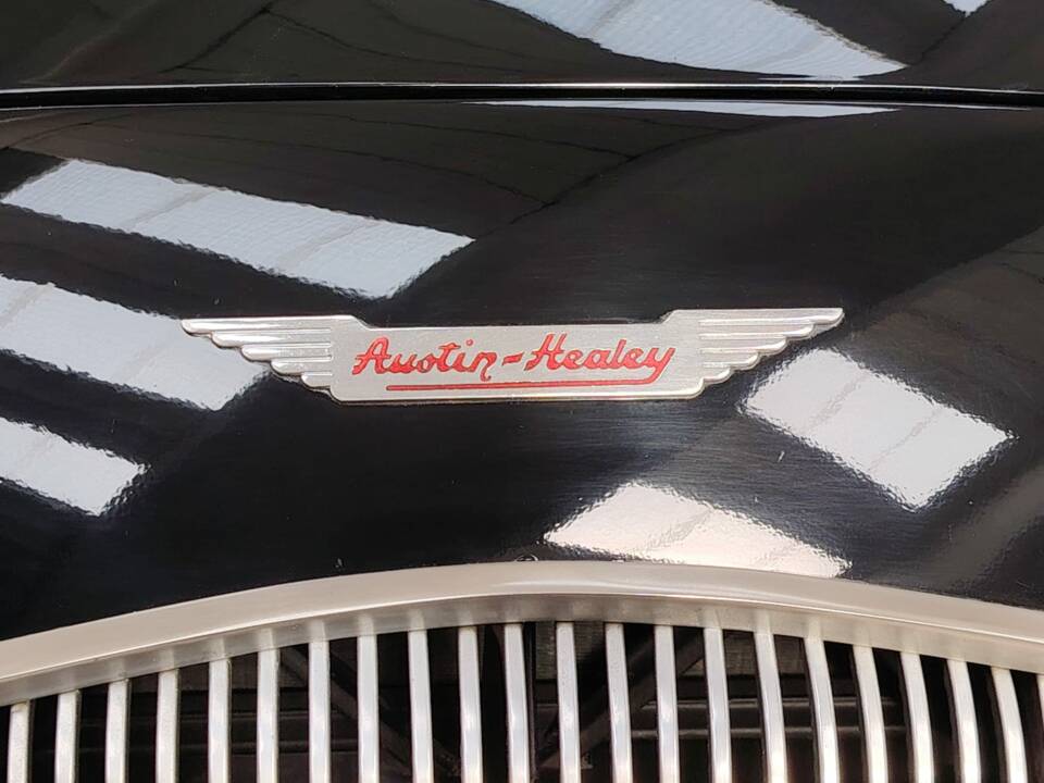 Bild 20/56 von Austin-Healey 100&#x2F;4 (BN2) (1956)